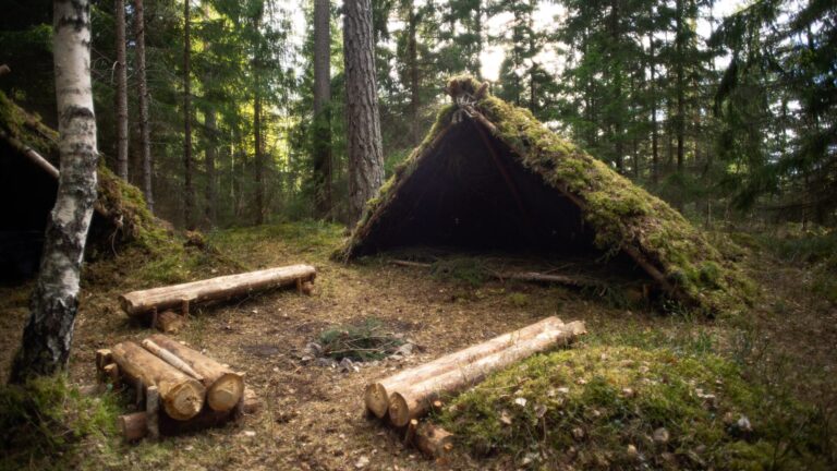 Bushcraft Shelter aus natürlichen Materialien bauen